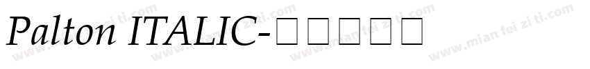 Palton ITALIC字体转换